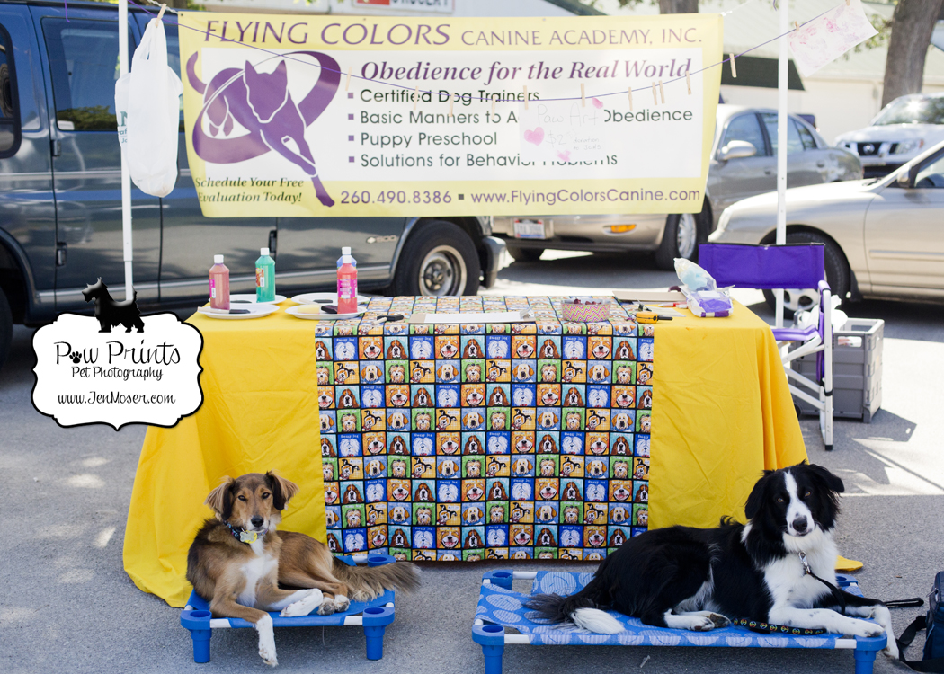Bark in the park Jay county, indiana flying colors canine academy booth with dogs
