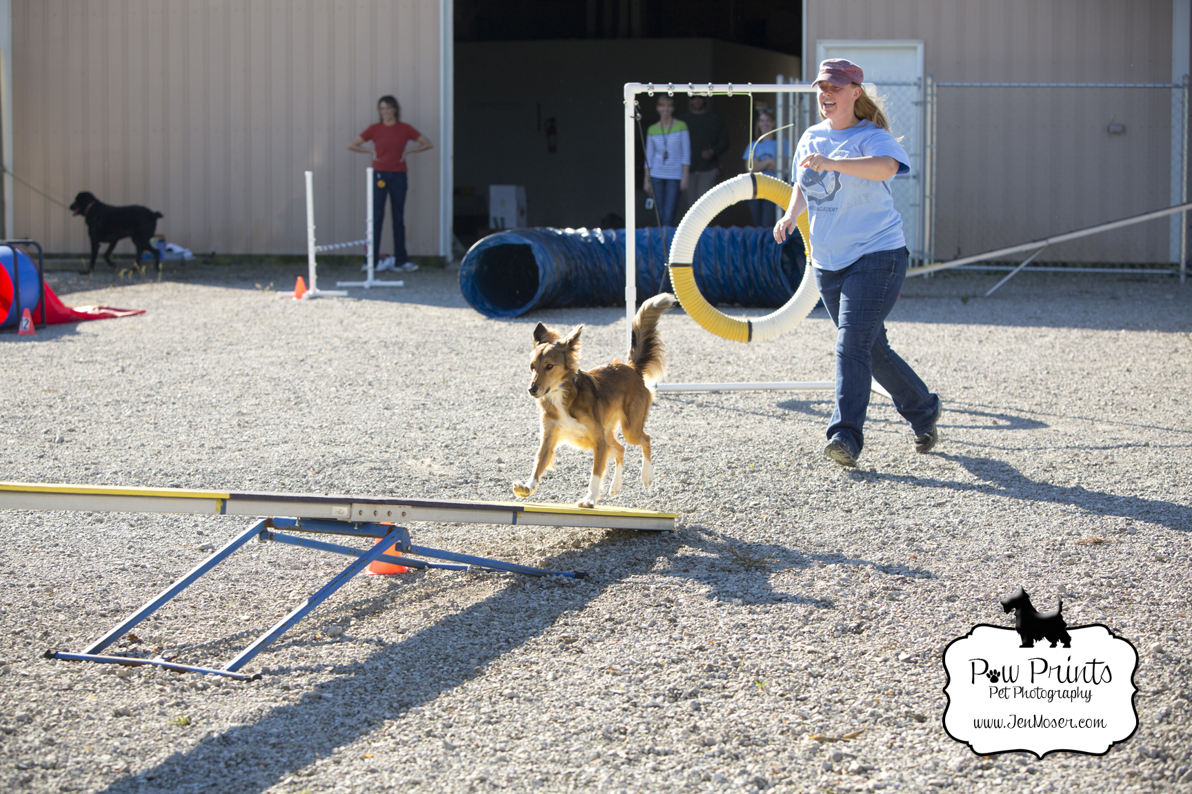 Flying Colors Canine Academy_Fort Wayne, IN_ Agility_DogsRunningAgilityCourse_AgilityPractice_DogOnTeeter_Paw Prints Pet Photography_ Indiana Pet Photography