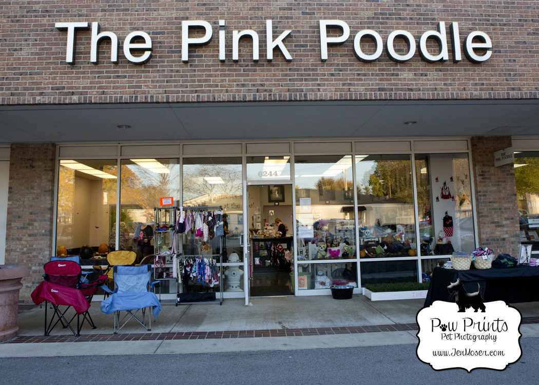 Paw Prints Pet Photography_Indiana Pet Photographer_Fort Wayne Pet Photographer_Pet Food Pantry_The Pink Poodle, Fort Wayne Indiana_Yappy Hour_Halloween_Halloween Yappy Hour_Halloween Dog Party FW