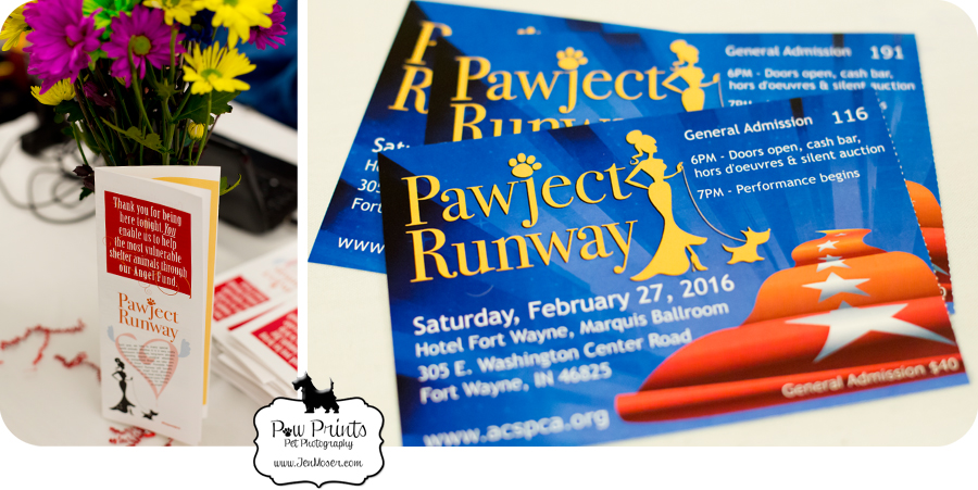 Indiana-Pet-Photographer_Paw-Prints-Pet-Photography_Jen-Moser_Pet-Photography_Fort-Wayne-Pet-Photographer_Allen-County-SPCA_Pawject-Runway_FWpawject_Pawject-Runway-2016.jpg