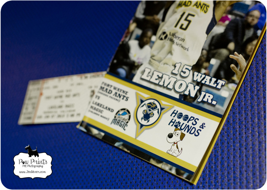 Indiana Pet Photographer_Paw Prints Pet Photography_Fort Wayne Pet Photographer_Fort Wayne Mad Ants_Hoops Hounds_Fort Wayne Basketball_Mad Ant Ticket